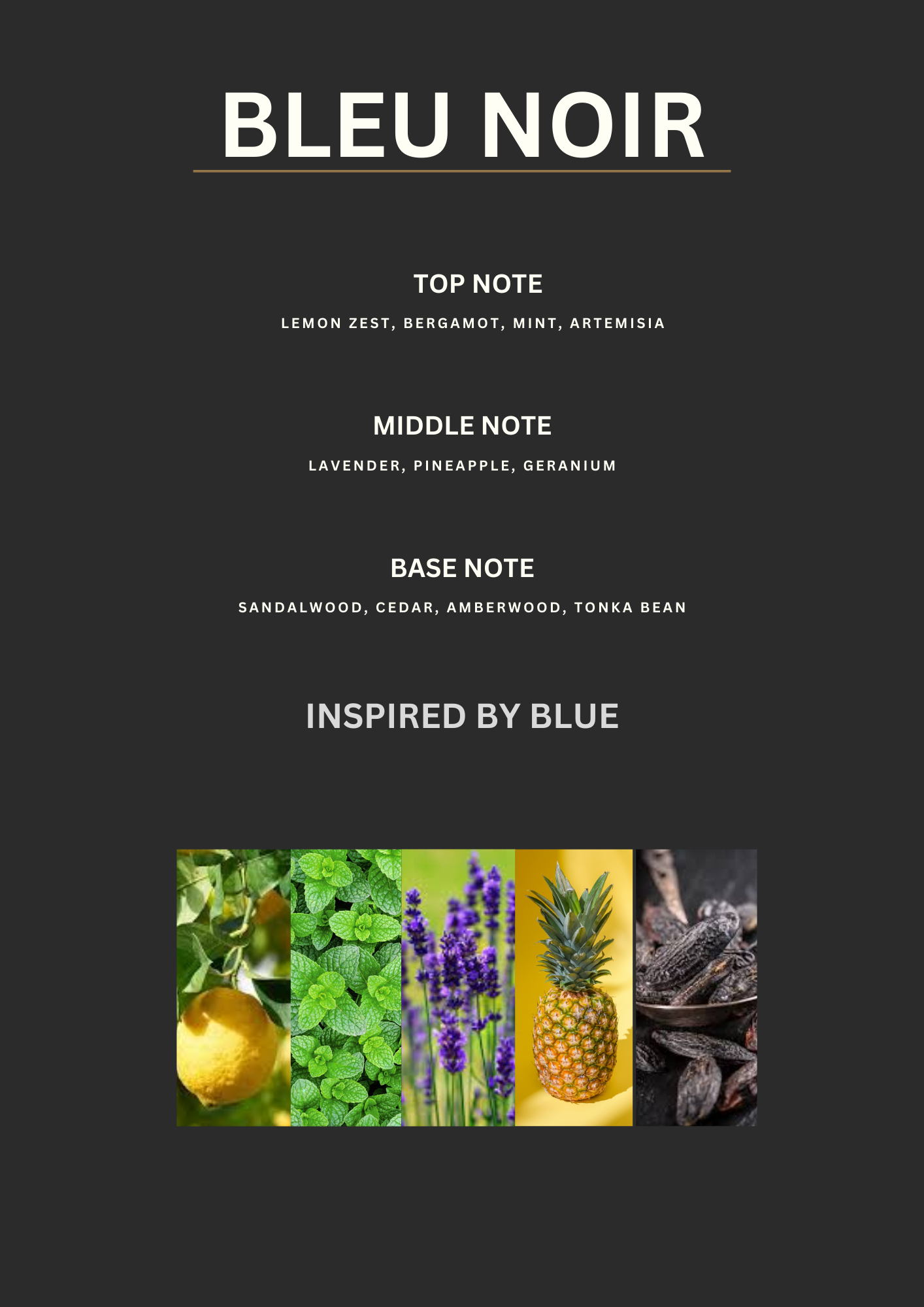 Inspired by Blue - BLEU NOIR