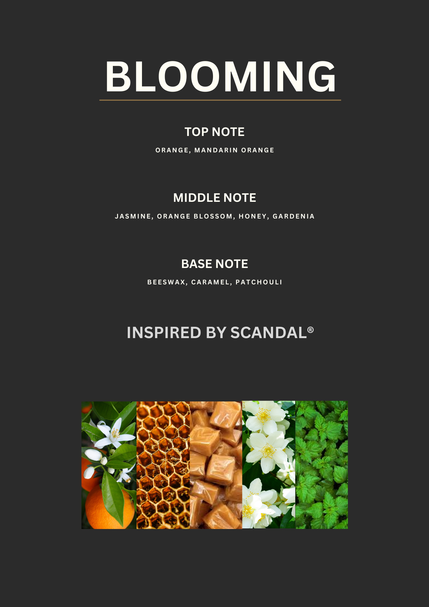 BLOOMING- Inspired by Scandal