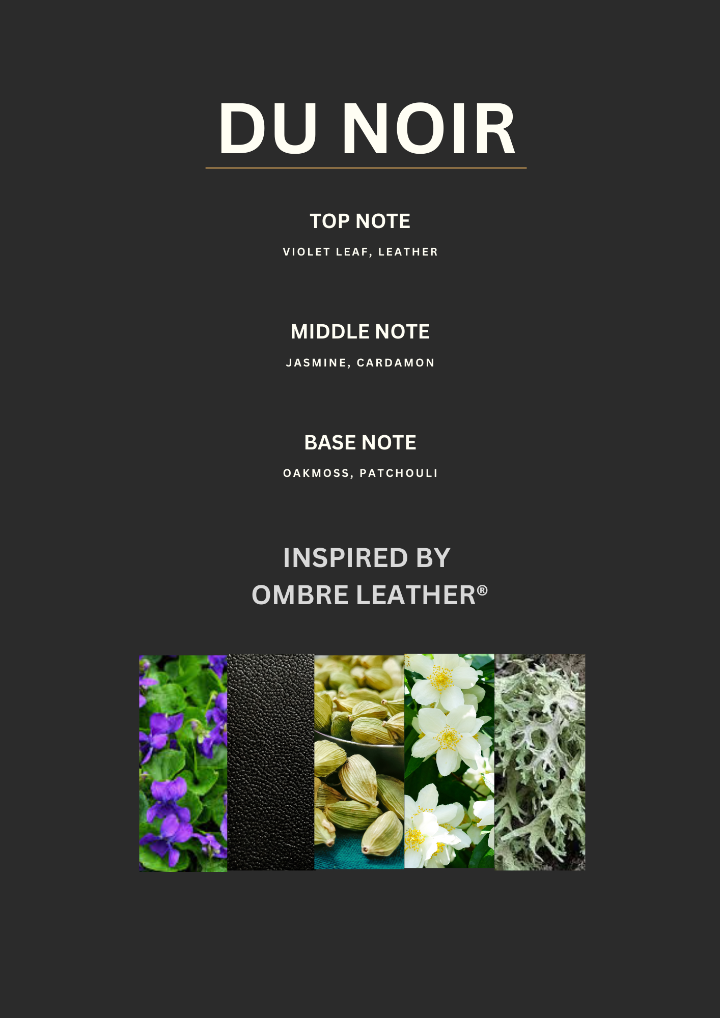 Inspired by ombre leather- DU NOIR