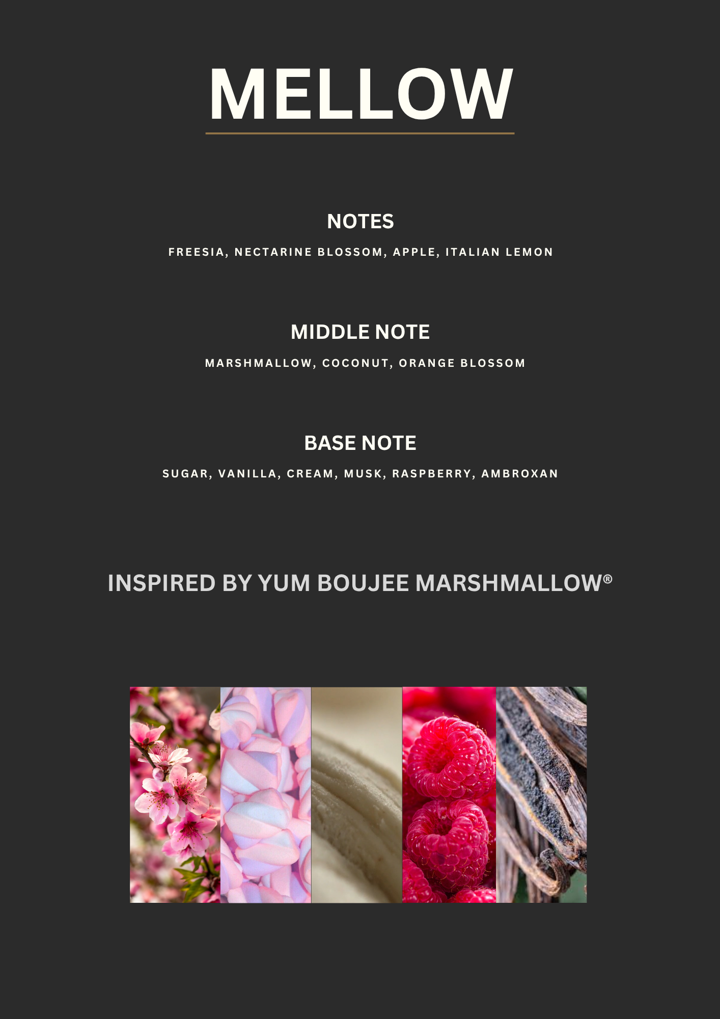 Mellow 50ml EDP- Inspired by Yum Boujee Marshmallow