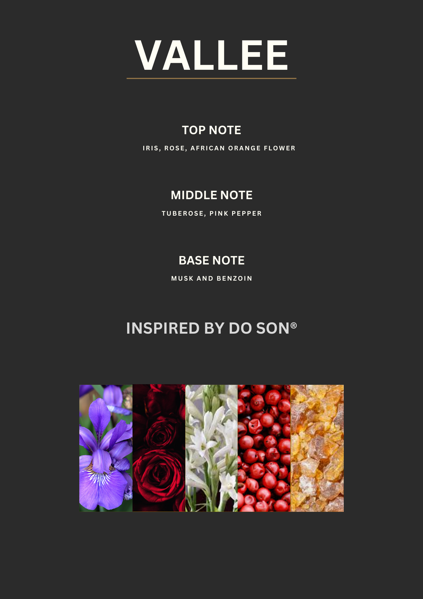 Inspired by Do Son -VALLEE